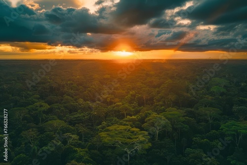 Majestic Sunset over Lush Green Amazon Rainforest Landscape, Aerial Drone View