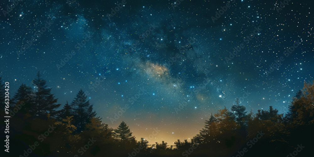Starry sky with trees background, banner Starry sky with trees background, banner