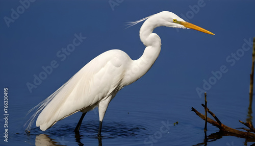 Great White Egret bird Stock Photo,Egret bird photography.Wildlife Photography, Generative AI