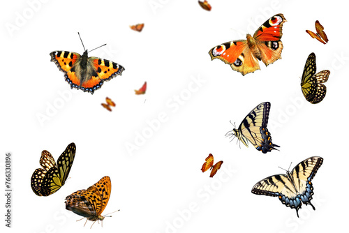 Flying Butterflies Overlays
