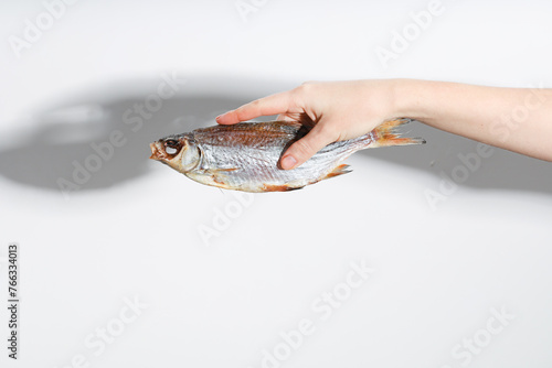 Dried dry fish ram, roach, bream, flatfish are held by female hand on a white background isolated. Beer snack.