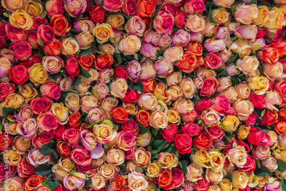Beautiful close-up view of a wall decorated with multi-colored rose flowers.