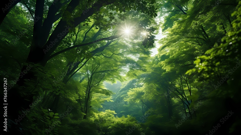 A vibrant green canopy of trees overhead, creating a cool and refreshing atmosphere in the heart of the forest. A vibrant green canopy of trees overhead, creating a cool and refreshing atmosphere in the heart of the forest.