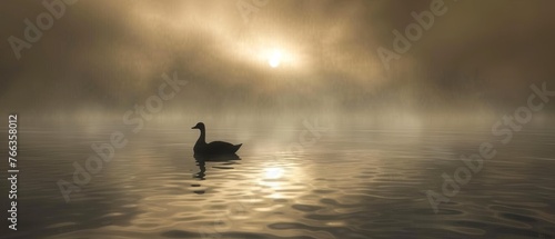  A duck glides on water beneath a cloudy sky, bathed in sunlight © Wall