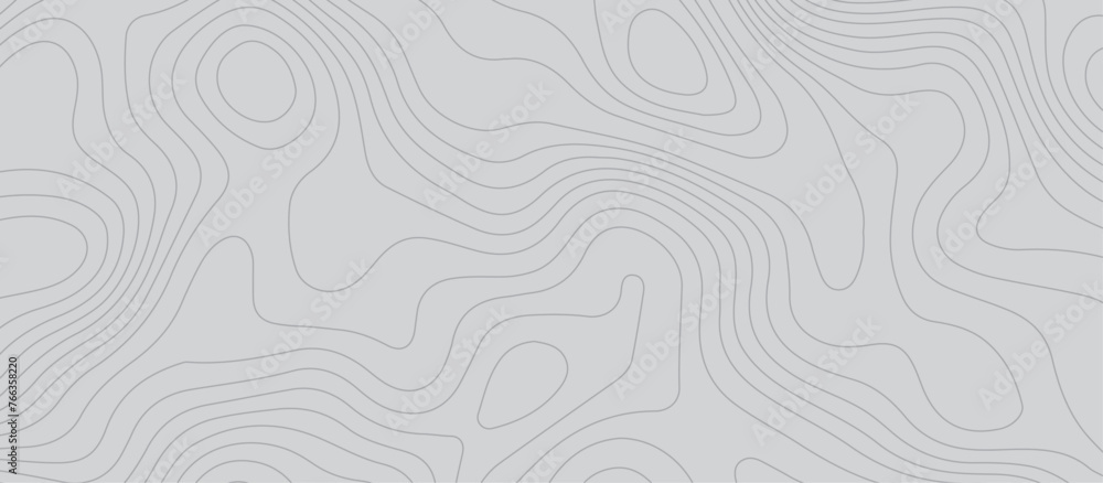 Topographic map background geographic line map pattern .panorama view gray color wave curve lines .geographic mountain relief abstract grid .the concept map of a conditional geography map . Topographic map background geographic line map pattern .panorama view gray color wave curve lines .geographic mountain relief abstract grid .the concept map of a conditional geography map .