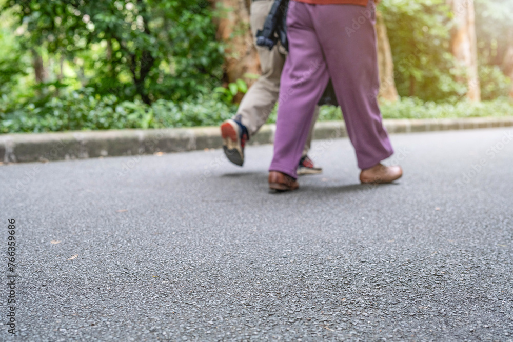 Seniors walking in the park