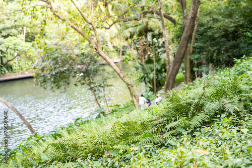 Citizens on spring outing in Guangzhou Yuexiu Park photo