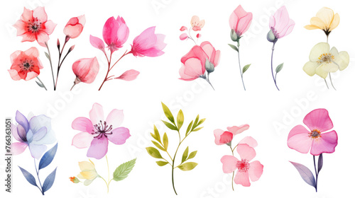 Set of watercolor wildflowers painting isolated on clear png background and transparent background. Fresh and nature concept for nature decorative and flower element, AI generative.  © Adisakdi