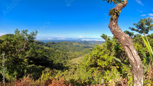 view from mirador la lindora monteverde next to a tree