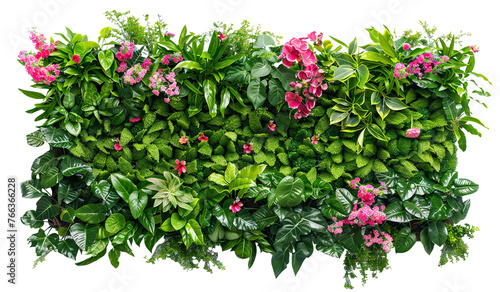 Fototapeta Naklejka Na Ścianę i Meble -  Green garden wall from tropical plants and flowers, cut out