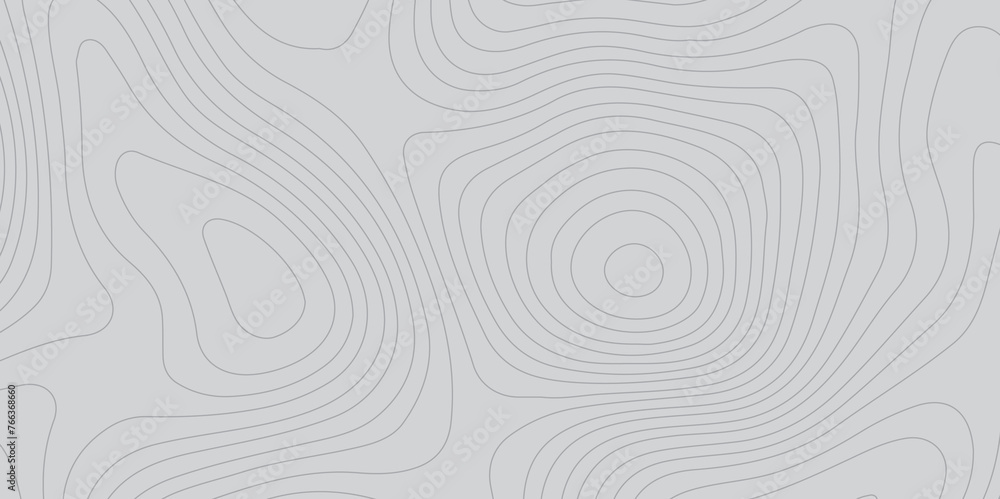 Topographic map background geographic line map pattern .panorama view gray color wave curve lines .geographic mountain relief abstract grid .the concept map of a conditional geography map . Topographic map background geographic line map pattern .panorama view gray color wave curve lines .geographic mountain relief abstract grid .the concept map of a conditional geography map .