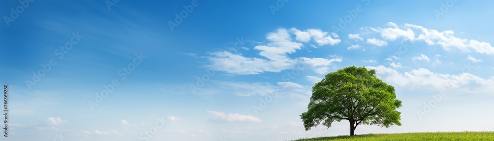 Capture the essence of introspection and wisdom with a low-angle shot of a lone tree against the vast sky Symbolize strength and growth through simplicity