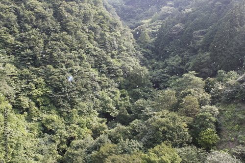 山に消えるしゃぼん玉