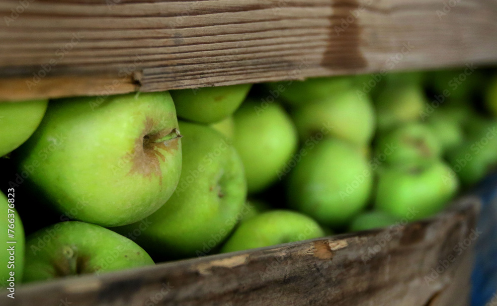 Apples in wooden crates on an apple farm Apples in wooden crates on an apple farm