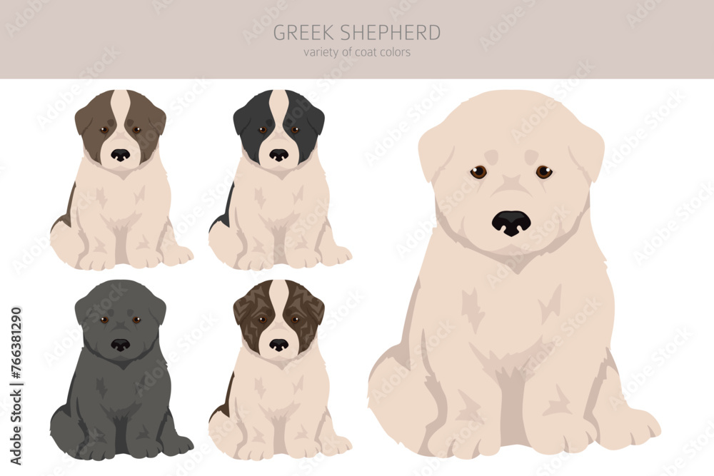 Greek Shepherd_2 Greek Shepherd_2