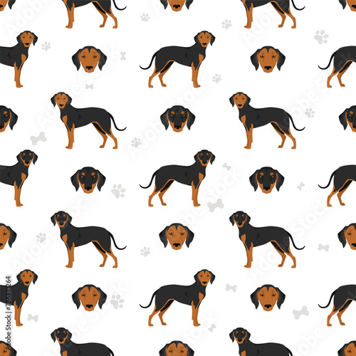 Greek Harehound seamless pattern. Different coat colors set