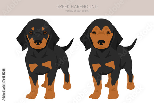 Greek Harehound puppy clipart. Different coat colors set