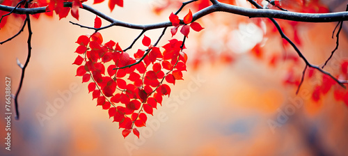 Red Leaf Forming the Shape of Heart Hanging on Branch, Autumn Love Mood Concept