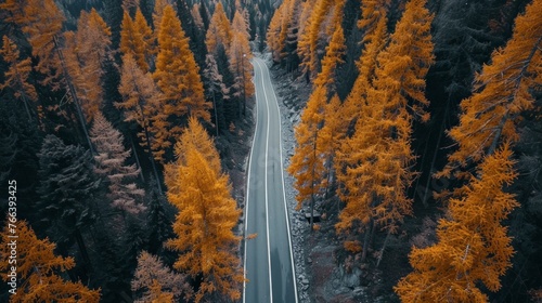 Aerial view of road in colorful forest at sunset in autumn. Top view from drone of mountain road in woods. Beautiful landscape with roadway, blue sky, trees with red and orange leaves in fall. Travel. photo