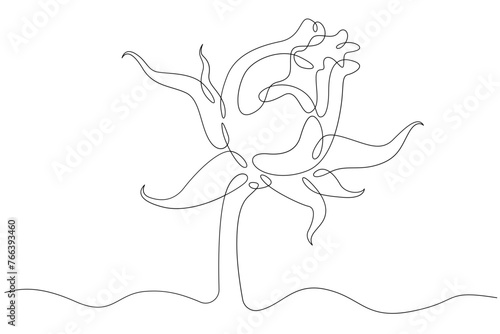 One continuous line.Flower bud. A beautiful open flower. One continuous line is drawn on a white background.