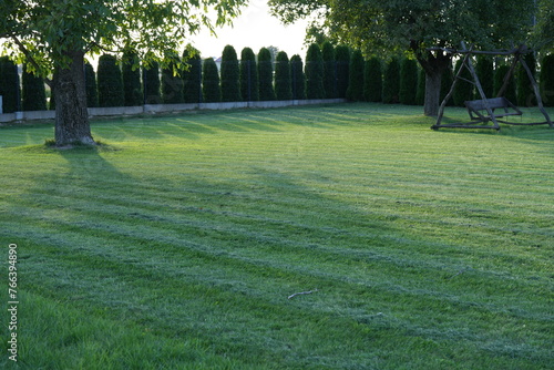 Koszenie trawy, kosa do trawy, idealny trawnik po skoszeniu kosą, zielony trawnik, pielęgnacja trawnika.
