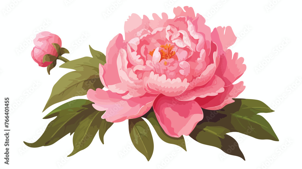 Peony isolated on white oil painting flat vector 