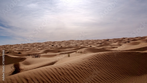 Rolling sand dunes in the Sahara Desert  outside of Douz  Tunisia