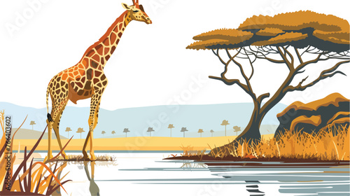 Rothschild Giraffe at Lake Nakuru National Park Kenya photo