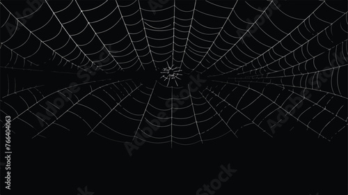 Scary spiderweb background. Black cobweb bat isolated