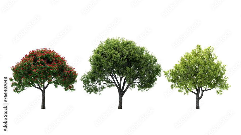 Trees, isolated on transparent background, Generative AI