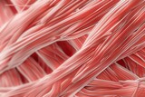 a detailed red muscular fibers