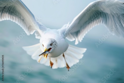 Close up A seagull with a fish in its mouth flies directly over the sea waters