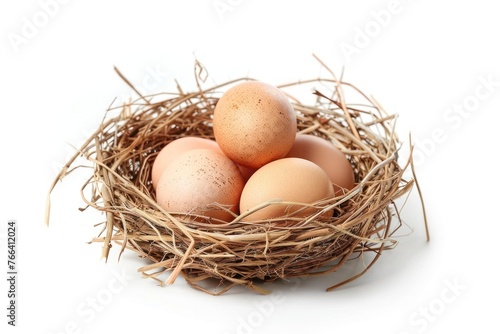 a chicken egg in the nest Isolated on white background