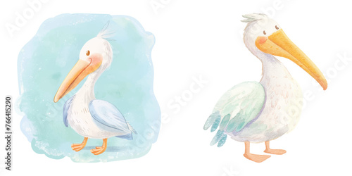  cute pelican watercolour vector illustration © Finkha