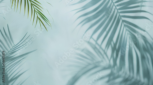 A leafy palm tree casts a shadow on a wall. The shadow is long and thin, stretching across the wall. Concept of tranquility and relaxation, as the palm tree's leaves provide a natural