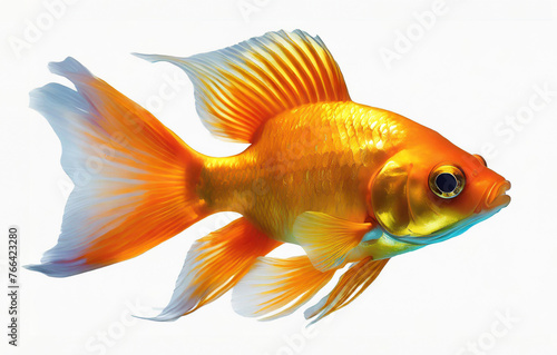 Goldfish isolated on white background. Beautiful orange aquarium fish with a long tail. Generative AI