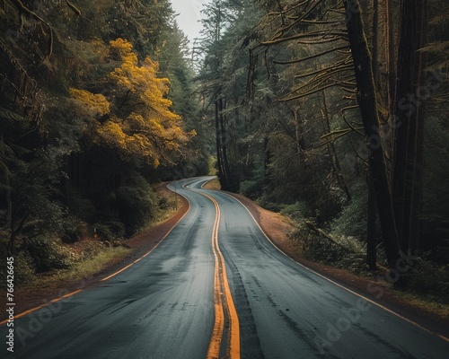 Exploring the Great Outdoors Road Tripping with Friends to Discover Natures Charms ,clean sharp ,soft shadowns photo