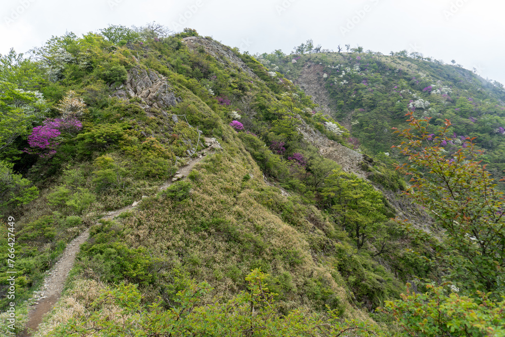 Mountain trail from Hirugadake to Mt. Tanzawa 