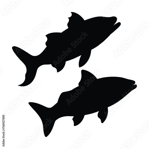silhouette of Snook fish on white