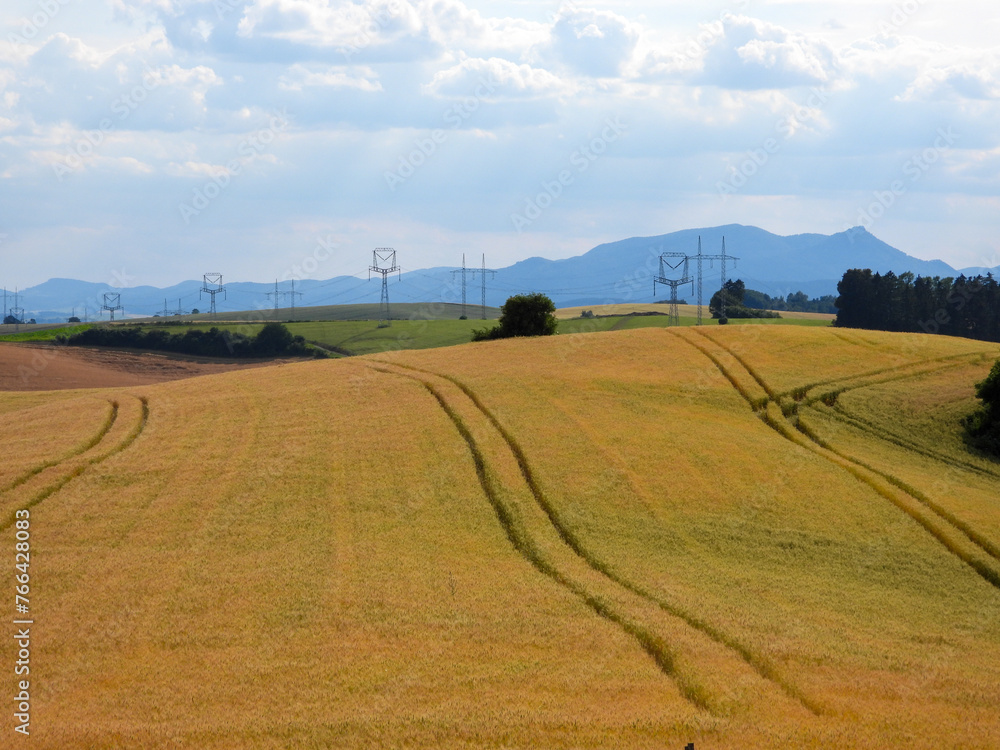 Golden fields: Tractor trails under the hillside of power lines