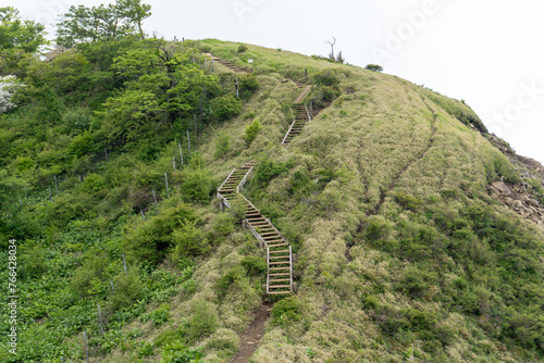 Mountain trail from Hirugadake to Mt. Tanzawa  photo