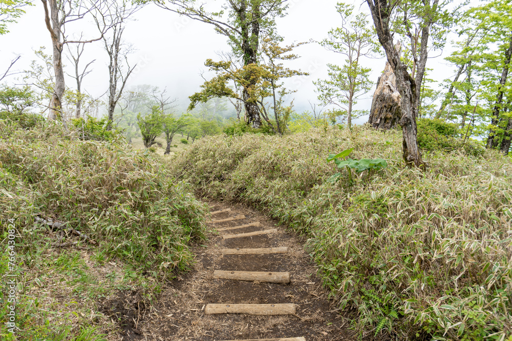 Fototapeta premium Trail between Tanzawa and Tonodake