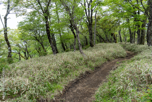Trail between Tanzawa and Tonodake