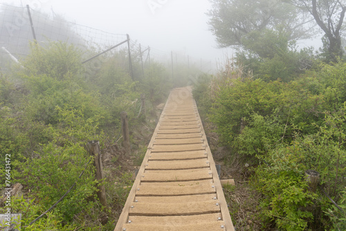 Trail between Mt. Tonodake and Okura