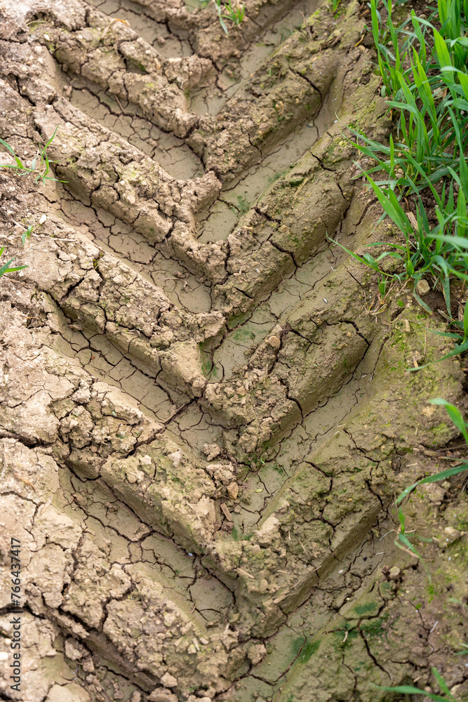 Tractor Tire Tracks on Parched Cracked Earth Tractor Tire Tracks on Parched Cracked Earth