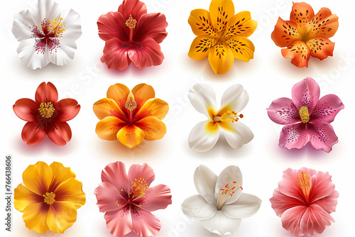 Set of different colored flowers arranged on white background wallpaper