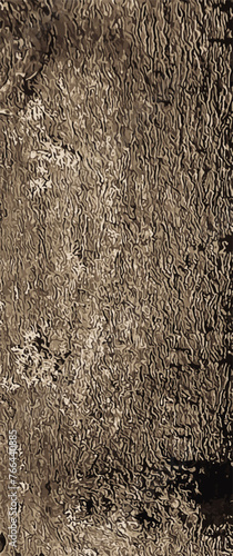 Vector illustration of Exochorda tree bark background and texture.
