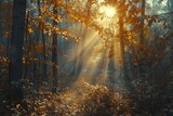 Sunlight Filtering Through Trees in Woods
