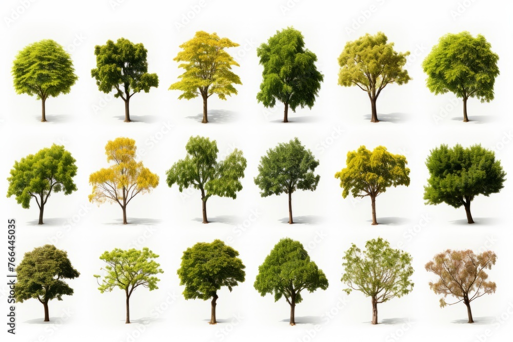 A collection of various types of trees - obrazy, fototapety, plakaty 