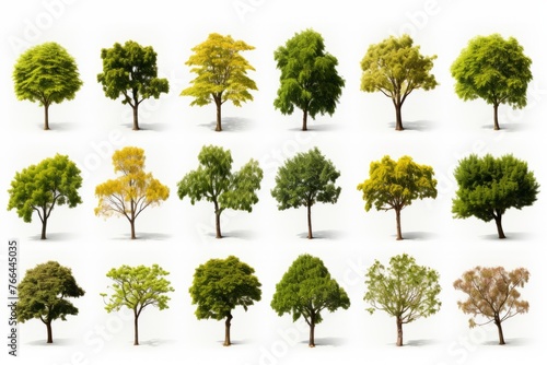 A collection of various types of trees